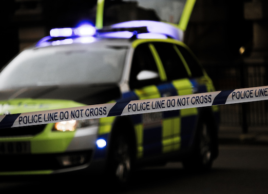 Driver injured in Trusham hedge collision