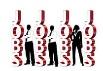 Teignbridge Payroll Decline Mirrors National Trend