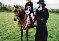 Equestrian star in the making?