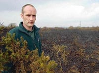 Fears spread of ‘gorse graveyard’