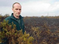 Fears spread of ‘gorse graveyard’