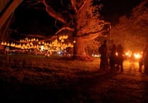 Celebratory gathering sheds light on ancient oak tree