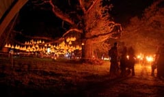 Celebratory gathering sheds light on ancient oak tree