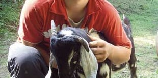 Sick animal killer must be caught