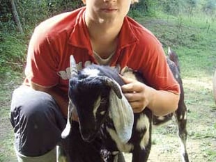 Sick animal killer must be caught