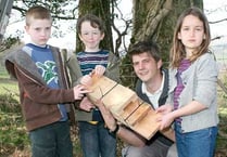 Pupils batty about bats