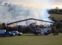 Horse dies in ‘arson’ blaze