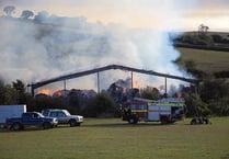 Horse dies in ‘arson’ blaze