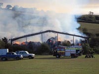 Horse dies in ‘arson’ blaze