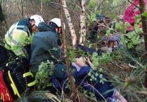 Special ‘agent’ helps locate lad