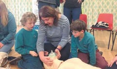 Ilsington Primary School pupils learn lifesaving skills
