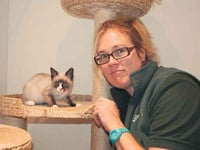 Ipplepen cattery adopts kitten as mascot after he was dumped at M5 service station