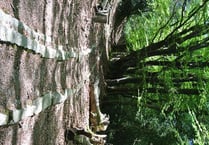 Moor granite railway set for spruce-up