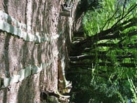 Moor granite railway set for spruce-up