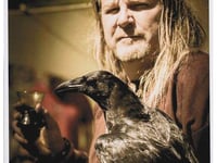 Viking raven still missing in Kingsteignton