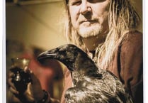 Viking raven still missing in Kingsteignton
