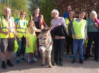 Donkey Manuel leads walk