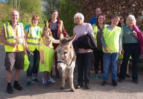 Donkey Manuel leads walk