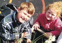 Bearnes pupils put their gardening skills to the test