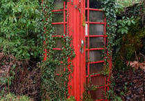 Phone box to greenhouse…