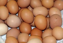 Egg products removed from Teignbridge shelves