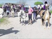 Funding boost for Adventure with Horses charity