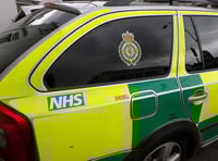 Van driver in collision with deer on A380