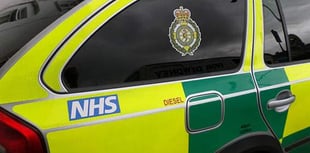 Van driver in collision with deer on A380