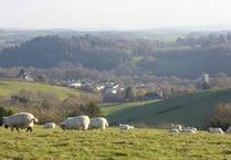 Sites needed for 40 new properties