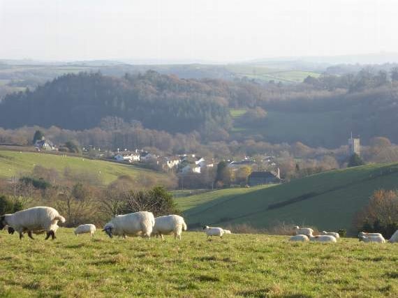 Sites needed for 40 new properties