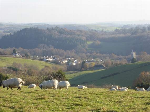 Sites needed for 40 new properties
