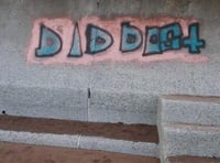 Calls to revive  task force to combat graffiti menace