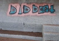 Calls to revive  task force to combat graffiti menace