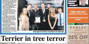 KINGSTEIGNTON: Terrier in tree terror