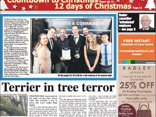 KINGSTEIGNTON: Terrier in tree terror