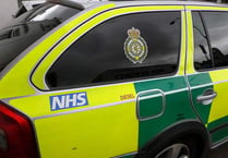 Man rescued from A38 crash
