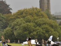 Nine things to do in Teignbridge this September