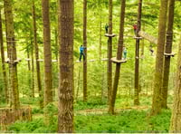 Plans for new high-wire adventure course