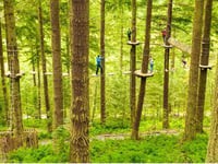 Plans for new high-wire adventure course