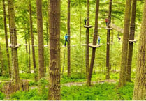 Plans for new high-wire adventure course