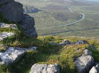 Rottweiler attacks Dartmoor sheep