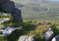 Rottweiler attacks Dartmoor sheep
