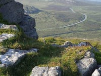 Rottweiler attacks Dartmoor sheep