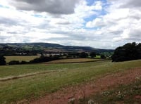 Concession stand at Dawlish country park and new homes – among this week’s planning applications in Teignbridge