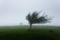Extra warning of strong winds about to hit Devon issued by Met Office