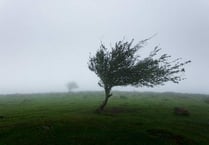 Extra warning of strong winds about to hit Devon issued by Met Office