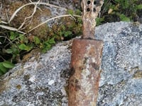 Bomb’s away… but no thanks to the dog as family walk unearths WW2 explosive