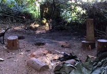 Special school needs your help after vandals wreck Dawlish Forest School