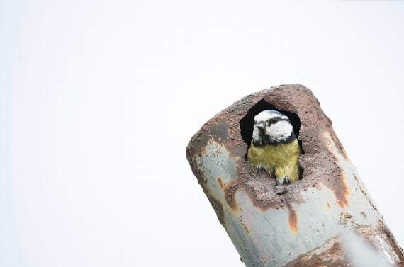 RSPB asks Devon residents to share how nature has supported them during lockdown