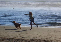 The beaches you cannot walk your dog on as summer beach ban ends